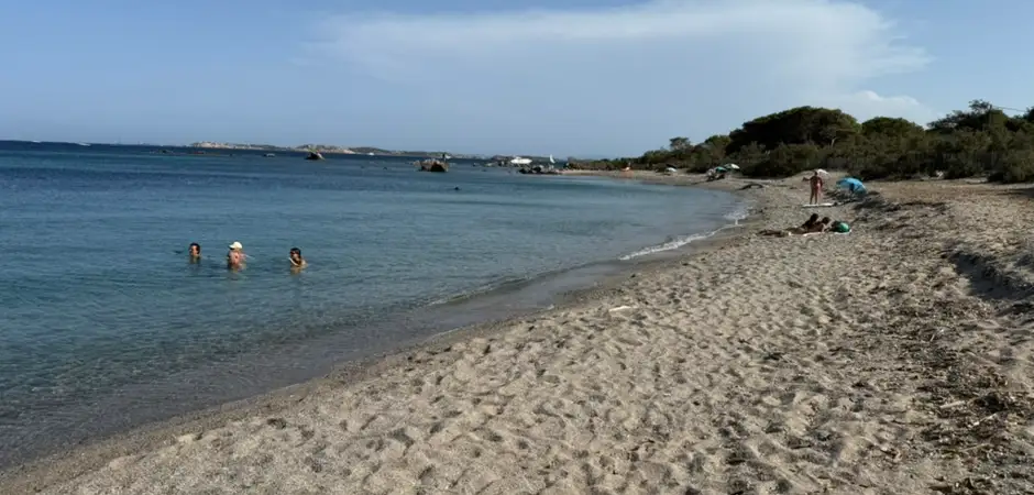 Plage aux Sangliers et eau transparente pour le snorkeling