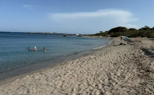 Plage aux Sangliers et eau transparente pour le snorkeling